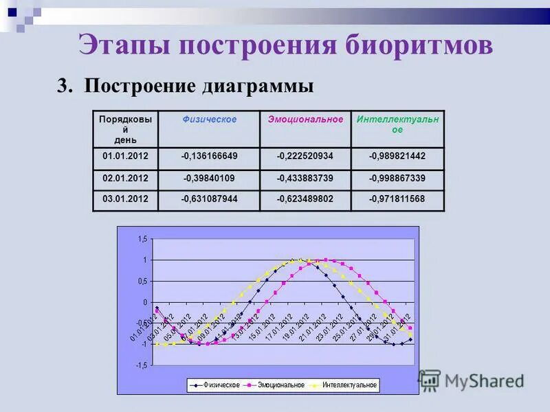 Биоритм человека расчет по дате