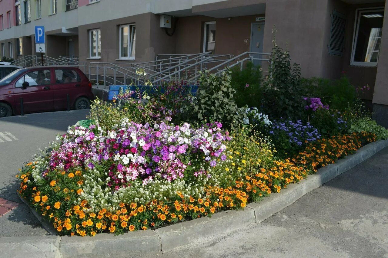 Клумбы во дворе