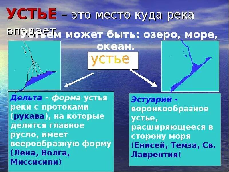 Выберите верное определение реки. Типы устья реки Дельта и эстуарий. Дельта и эстуарий реки. Тип устья эстуарий. Типы устья рек.