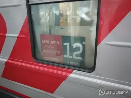 Поезд белгород санкт петербург фото