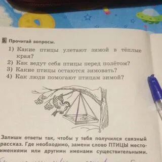 Состав слова птичка