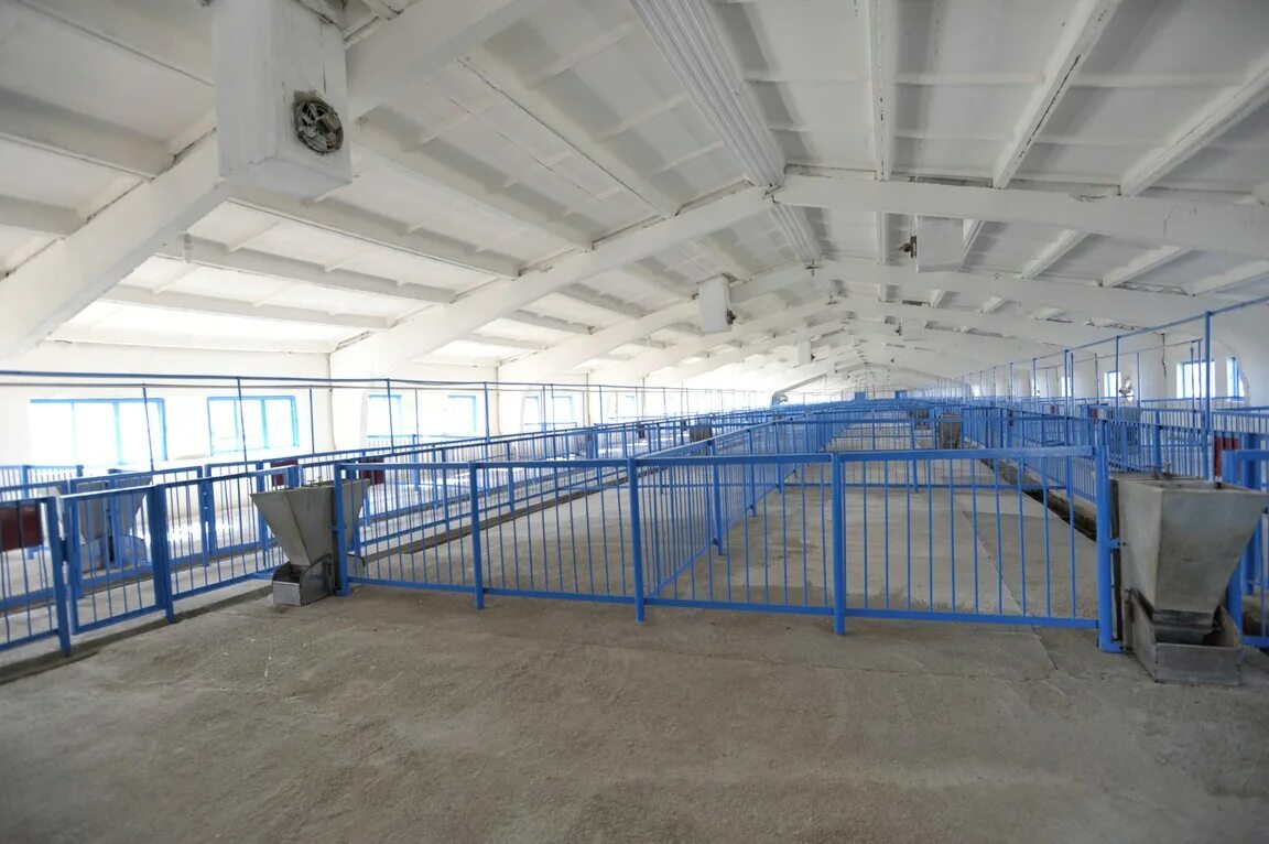 Ферму ставропольском крае. Ферму ставропольском крае. Колхоз племзавод им чапаева ставропольский край. Ферму ставропольском крае. Ферму ставропольском крае.