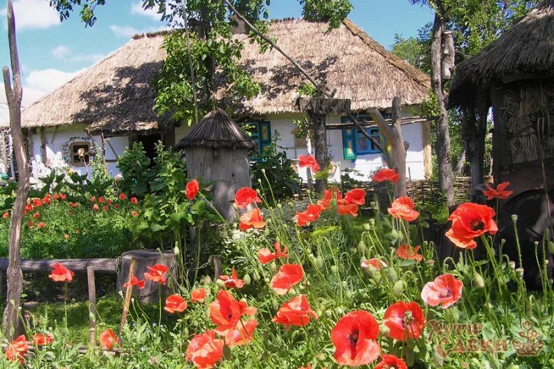 Хатка украинская картина. Каля хаты у садочку краткое. Пейзаж украинская хата с мальвой. Хатка украинская картина. Каля хаты у садочку краткое.