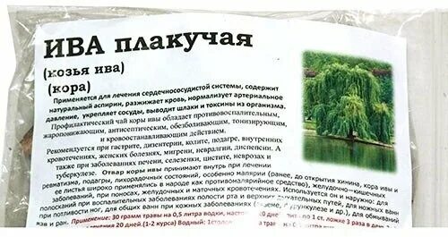 Какое лекарство было получено из коры ивы. Ивовый чай. препараты на основе ивы.