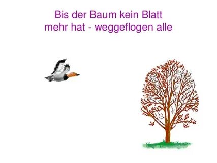 Bis der