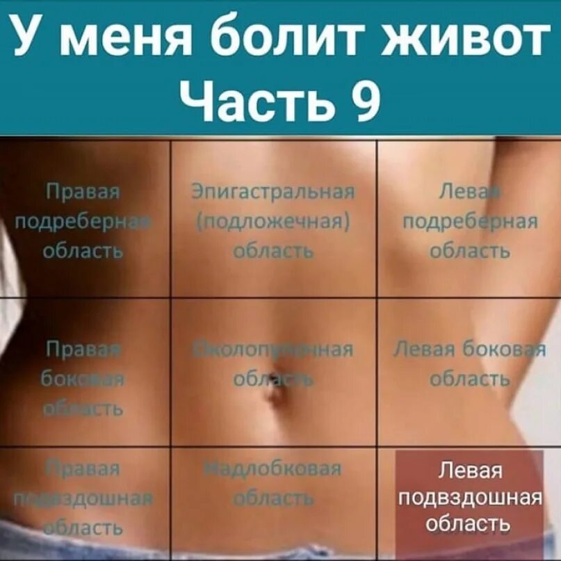 Что находится у человека слева в животе