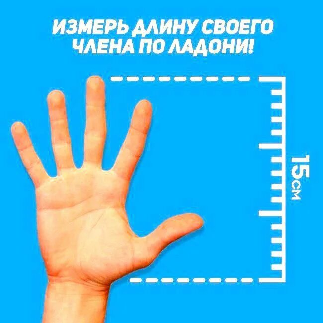 размер члена по размеру ладони. размер достоинства. мужское мерило. средняя длина мужского пениса. норма размера полового члена.