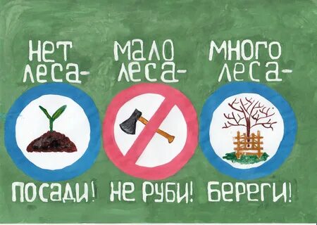 Лозунги в защиту природы