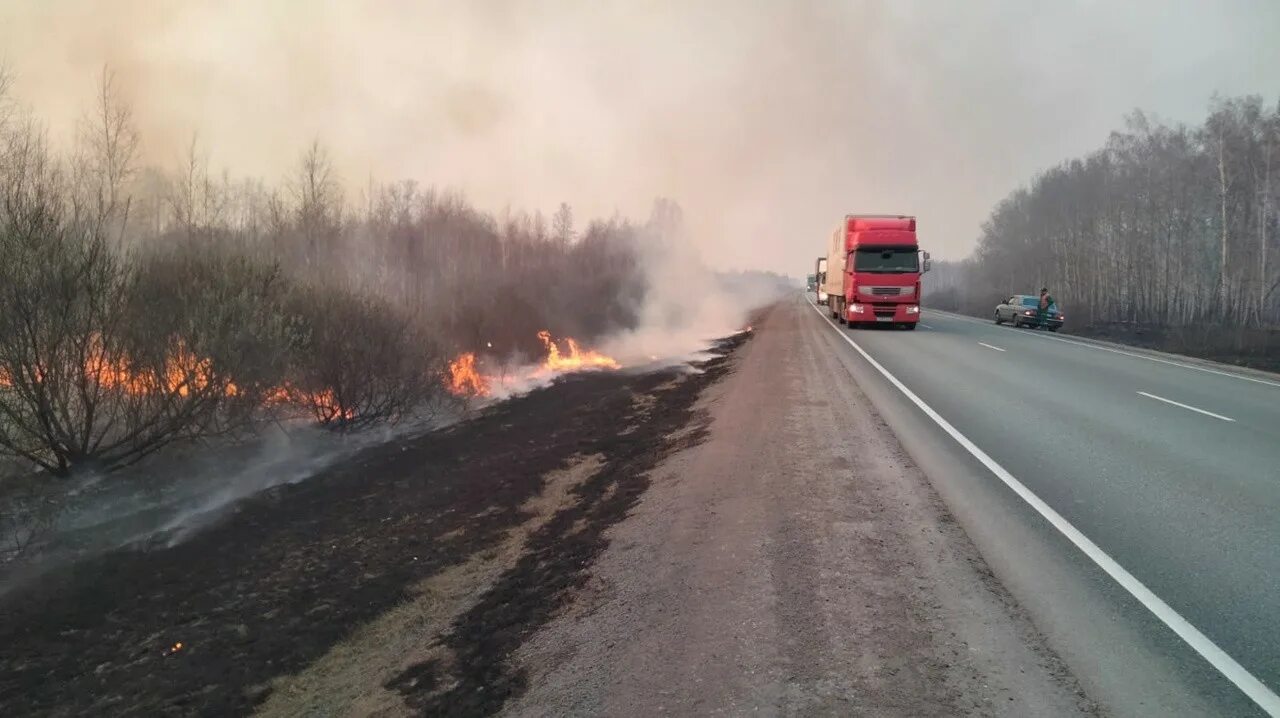 Лесные пожары в Омской области. Пожар Черлакский. Пожар вдоль трассы. Пожар в Называевске. Сгорели на дороге