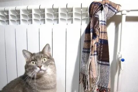 Отключают ли отопление летом