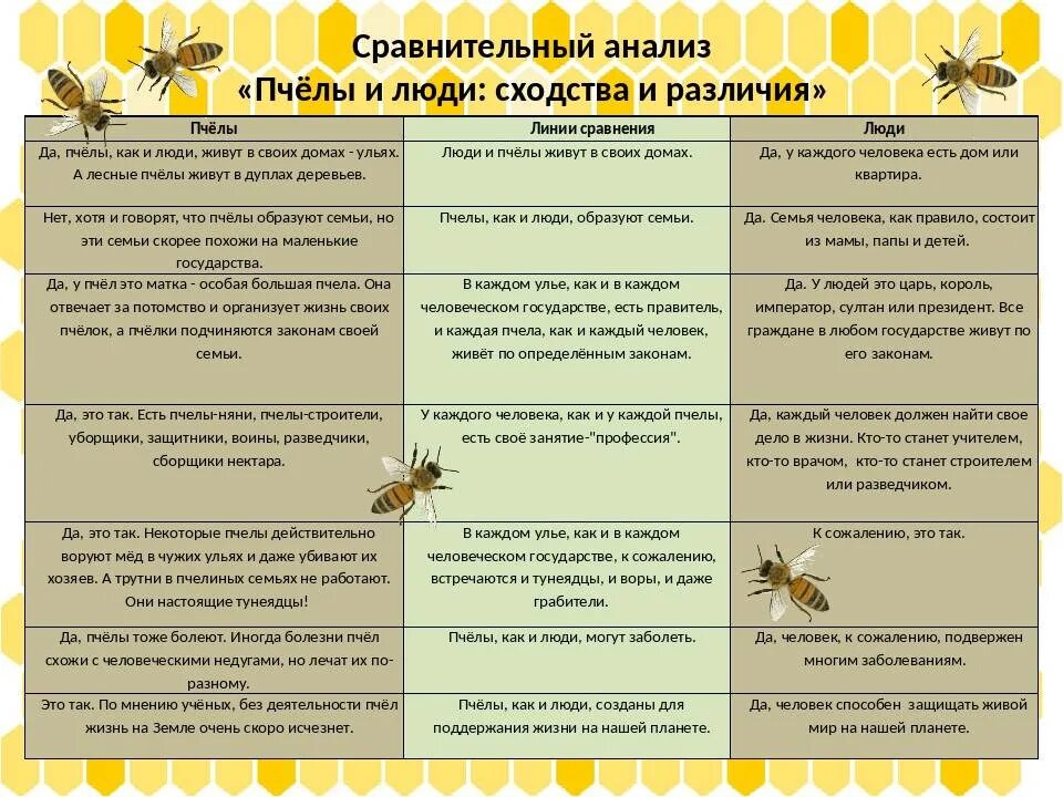 Различия пчел. Разновидности пчел. Пчелы и Пчеловодство. Общая характеристика пчел. Пчеловодство таблица.