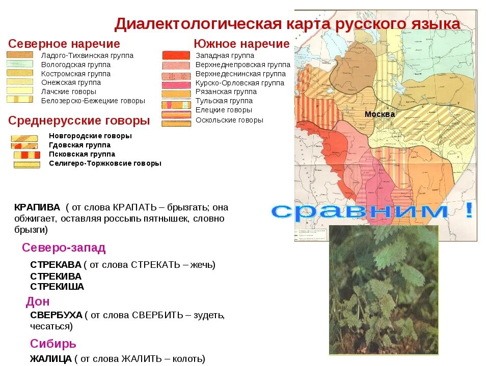 Язык диалект говор. Карта диалектов. диалектологическая карта русского. карта диалектов русского языка. современный диалект.