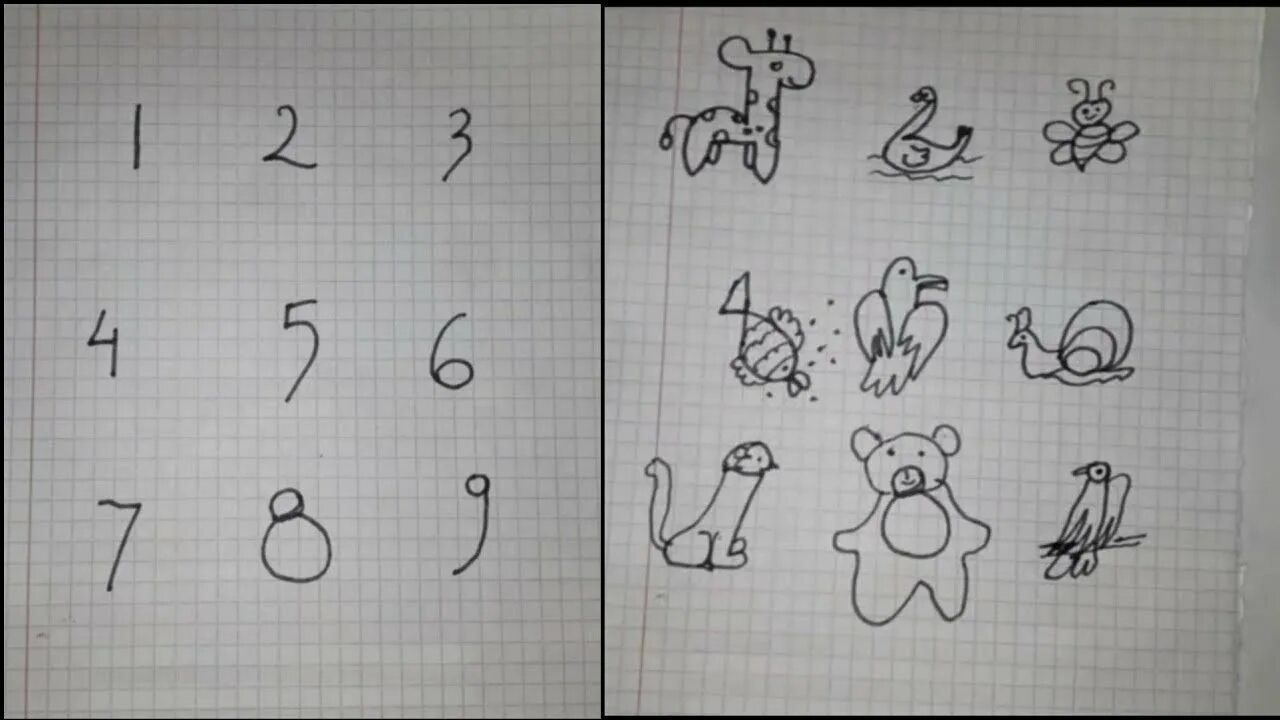 Нарисуйте картинки цифрами. Рисунки из цифр. Рисунки низ цыфр. Рисунки из цифр пошагово. Рисование животных из цифр.