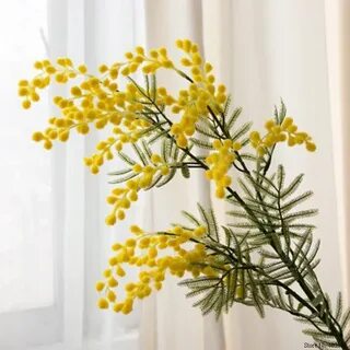 Ветка желтого цвета