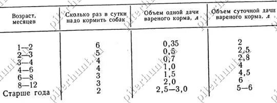 Сколько раз кормить щенка в 1 месяц. Кормление 2 месячного щенка лайки. Рацион кормления щенка немецкой овчарки 1.5 месяца. Кормление щенка лайки 4 месяца. Кормление щенка лайки 2 месяца.