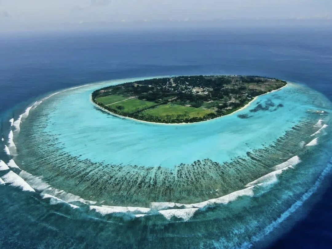 Остров мальдивы атолл. Gangehi island resort 4*. Gangehi island мальдивы. Остров тодду мальдивы риф. Ари атолл мальдивы.