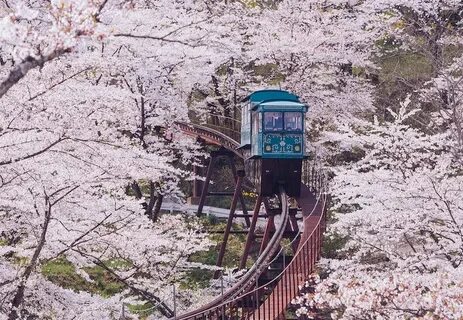 Jepang 2023