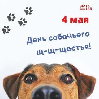 День собак дата