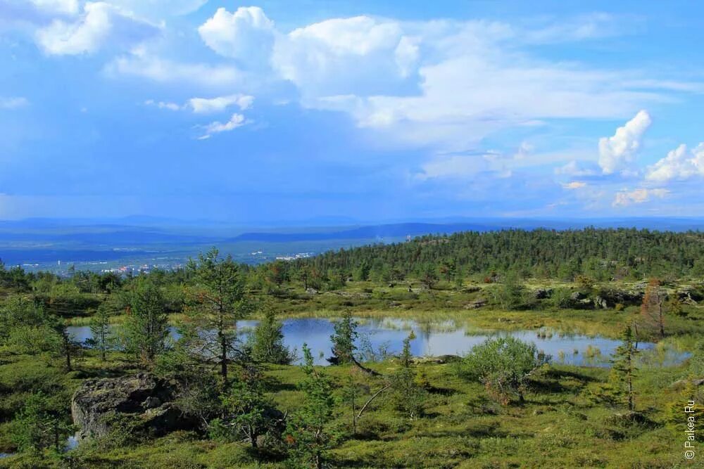 Какая природная зона за полярным кругом. Тундра природная зона. Фотографии природных зон. Природные зоны Швеции. Природные зоны России фото.