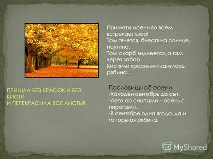 Приметы связанные с осенью