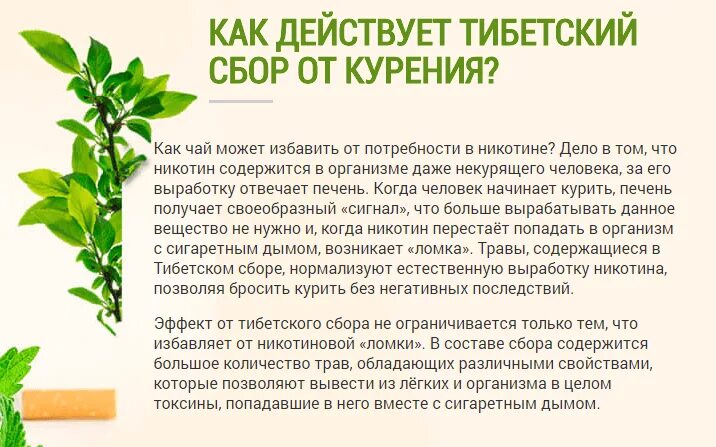 Бросить курить народные средства. Тибетский сбор от курения. Сбор трав для курения. Лекарственные травы от курения. Растения от курения.