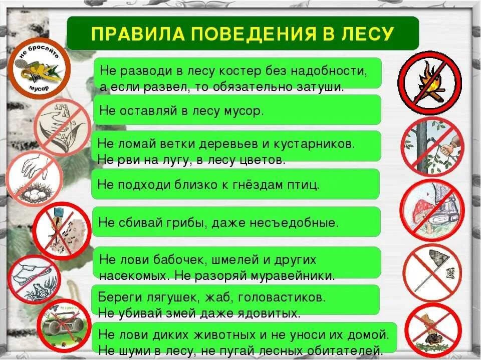 Что запрещается делать в лесу. Основные правила поведения в лесу. правила безопасности поведения в лесу. памятка о правилах поведения в лесу 4 класс. составь правила поведения в лесу.