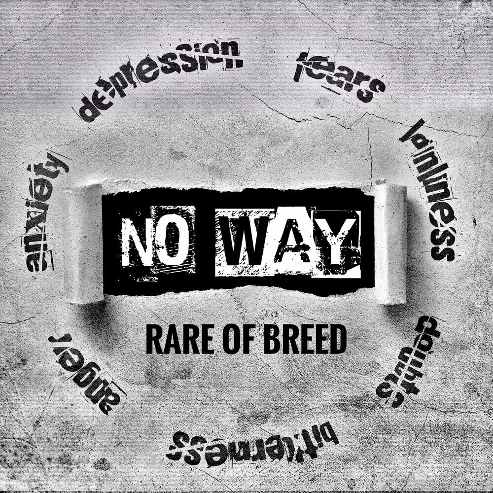 No way. Rare Breed группа. Breeders way. No way песня. Rare of Breed no other name.