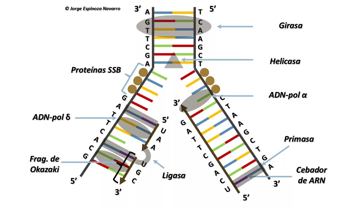 Механизм ADN. ADN-370. ADN B. Ремонт ADN.