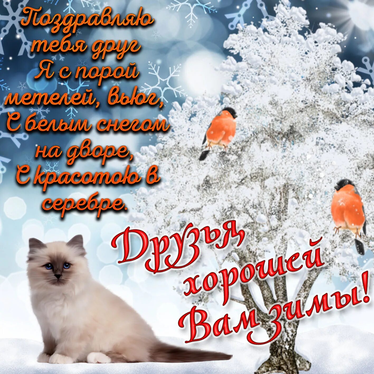 Открытки зимним днем