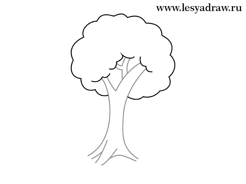 Маленькое дерево для срисовки. Дерево карандашом для срисовки. Дерево карандашом. Легкие рисунки для срисовки деревьев. Ива плакучая дерево эскиз.
