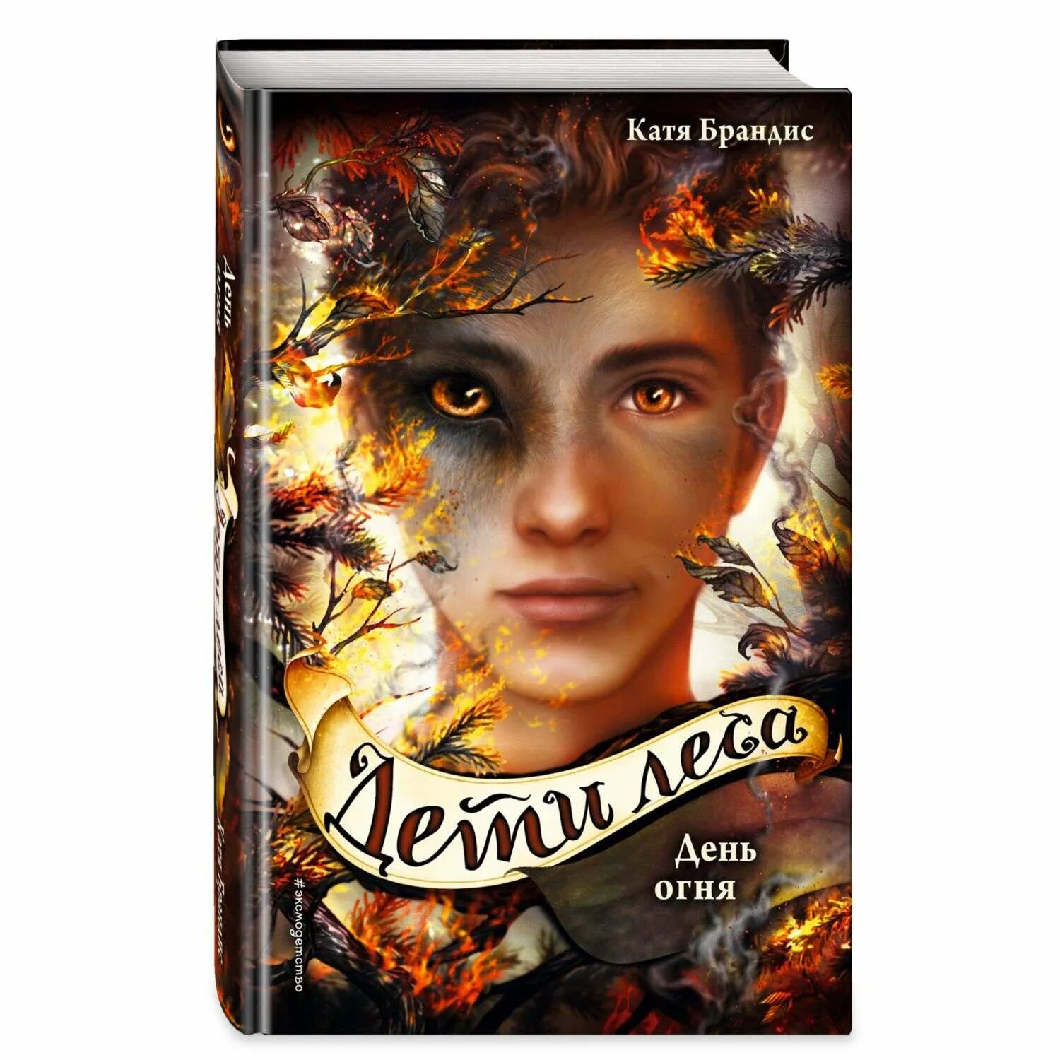 Дитя огня и волшебная корона/маккалоу к. Дитя огня и волшебная корона книга. Дитя огня и волшебная корона маккалоу middle grade. Дитя огня отзывы. Дитя огня.