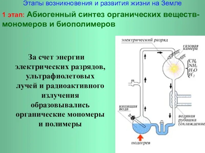 4 абиогенный синтез. Этапы возникновения жизни. Этапы происхождения жизни. Этапы происхождения жизни на земле. Основные этапы происхождения жизни.