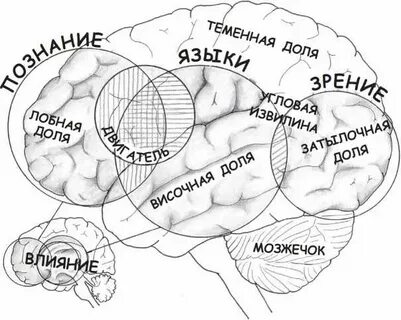 Читать мозги