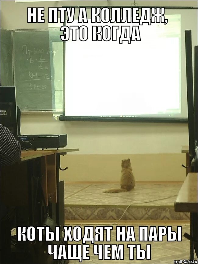 Шутки про колледж