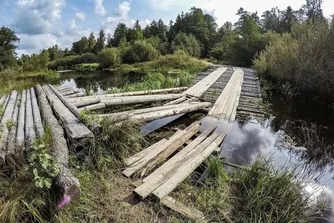 Охотники утверждают подмосковье славится своими