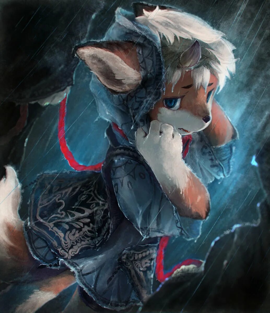 Cub iro