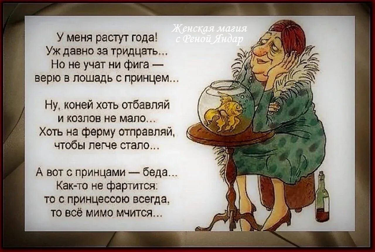 Приятного вечерочка Спокойной ночи, Ночь, Юмор