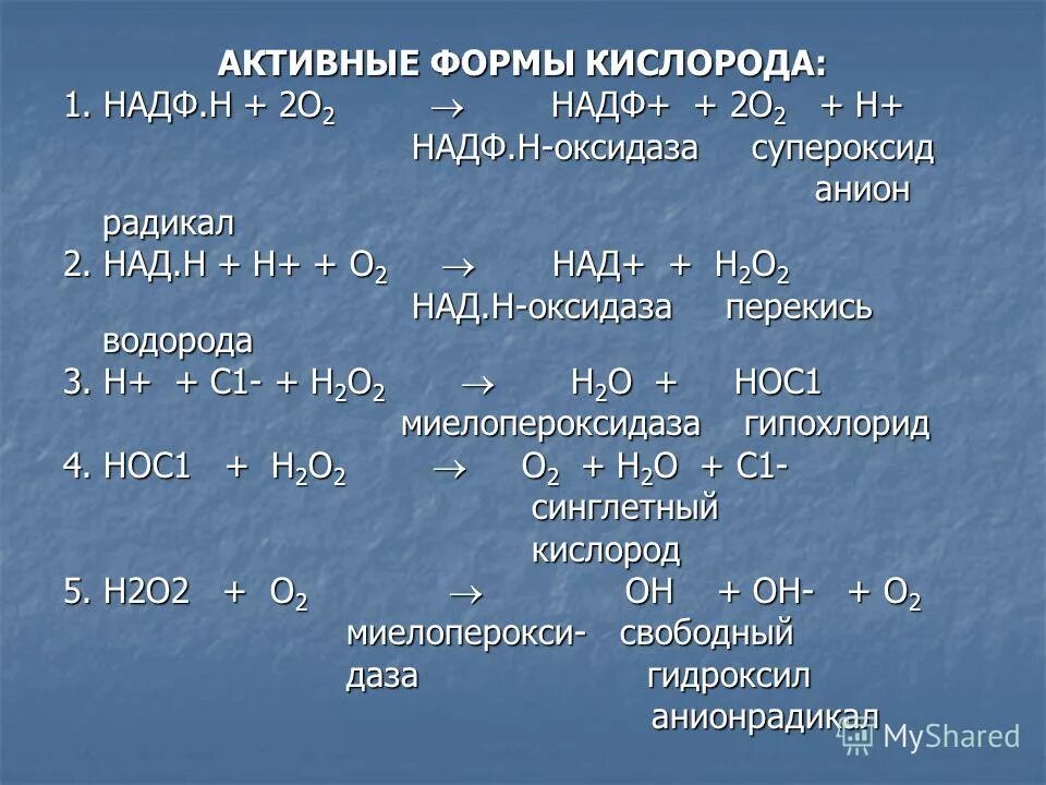 свободные формы кислорода