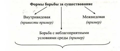 Бороться формы