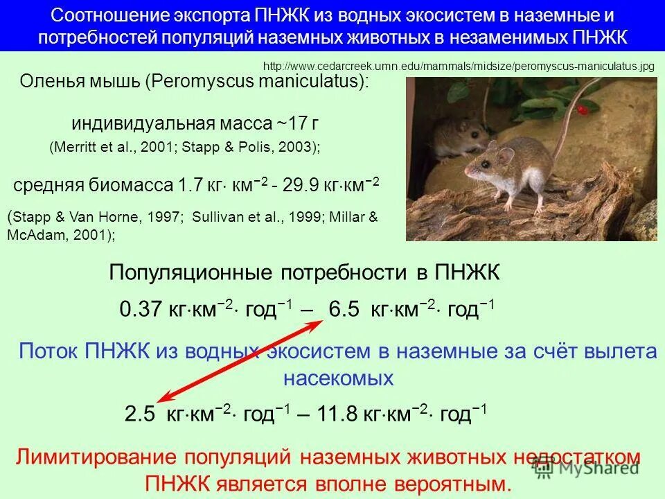 Прирост биомассы популяции щук