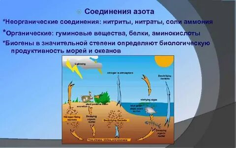 Неорганические вещества азота