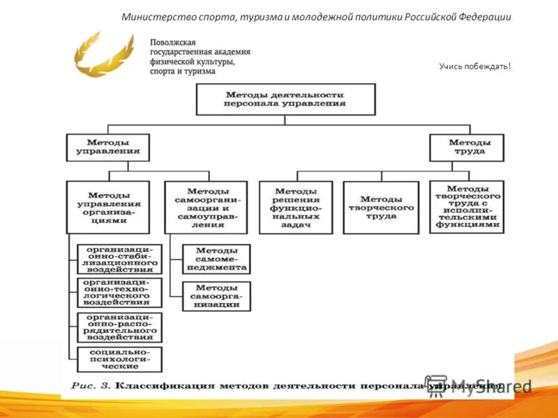 положение министерства молодежной политики