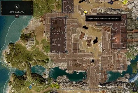 Divinity original sin 2 идол возрождения