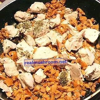 Лисички с курицей