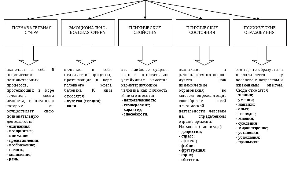 Структура психических познавательных процессов. Психические процессы и психические свойства личности. Познавательные процессы в психологии таблица. Иерархия психических познавательных процессов. Психология группы тесты