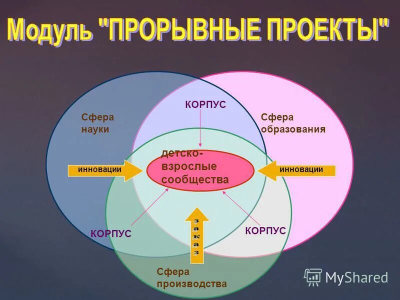 Назовите научные сферы. Сферы науки. Сфера образования. Прорывные проекты. Сфера образования наука.