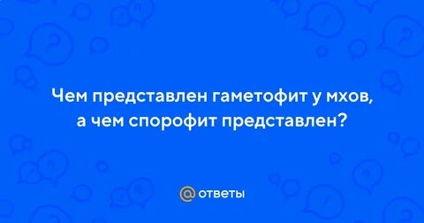 Гаметофит мха называется