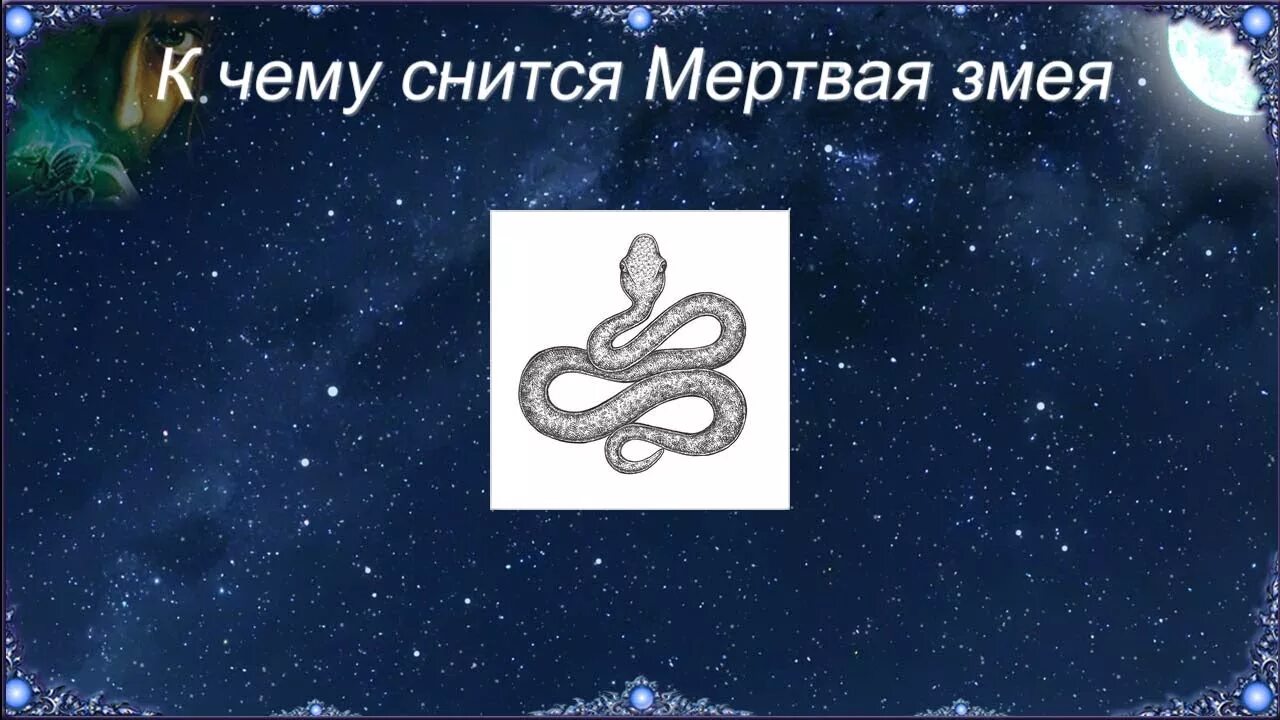 Что значит увидеть змею. Толкование снов к чему снится змея. Сонник-толкование снов змея. Змея во сне исламский сонник.