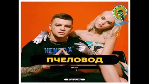 Ты пчела я текст