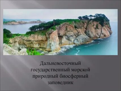 Дальневосточный заповедник природная зона